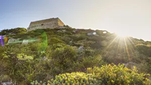 Sicilian Tourist Attraction Prints: Backlight, green slope, backlight