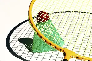 Physical Fitness Athlete Prints: Badminton