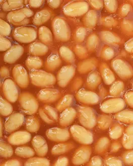 Legume Photography Prints: Baked beans