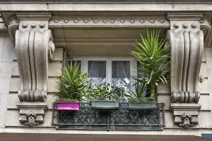 Parisian Cityscape Prints: Balcony with plants, classicist building