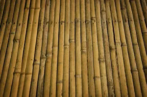 Deserted Bamboo Scene Prints: Detail of bamboo surface