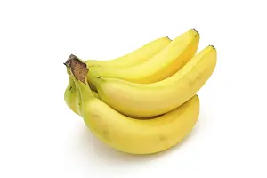 Banana Nutrition Prints: Bananas