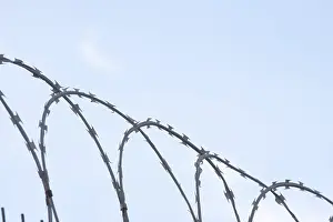 Barbed Wire Prints: Barbed wire