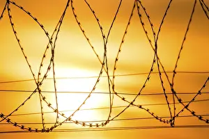 Southern Germany Atmosphere Prints: Barbed wire in the foreground at sunset