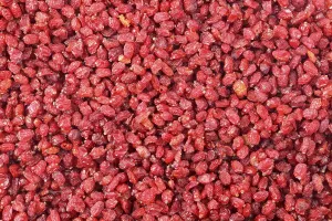 Red Berries Studio Shot Prints: Barberries