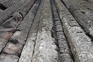 Basalt Columns Prints: Basalt columns at the cliffs by the Giant's Causeway