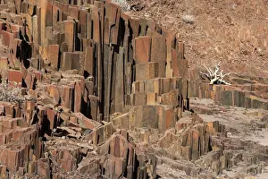 Twyfelfontein Rock Formation Prints: Basalt columns at Twyfelfontein, Namibia