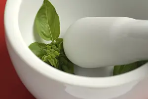 Kitchen Herb Photography Prints: Basil in mortar