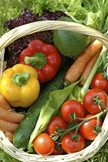 Vegetable Cultivation Prints: Basket with vegetables
