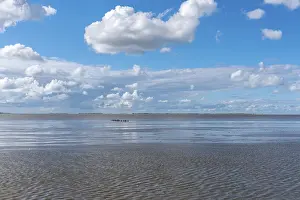 Low Tide Beach Prints: Beach at low tide, mudflat walker