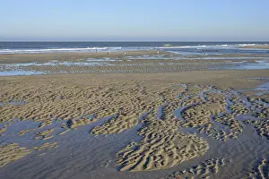 Wavy Sand Pattern Prints: Beach at low tide with wave-like pattern