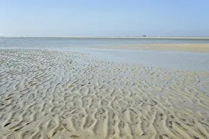 Low Tide Landscape Prints: Beach at low tide with wave-like structure