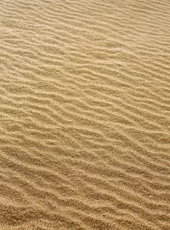 No People Beachfront View Prints: Beach sand waves warm texture pattern background