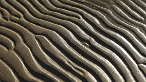 Deserted Beach Landscape Prints: Beach Sand wavy pattern abstract background