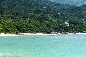 Trindade Beach Prints: Beach surrounded by forest in Trindade