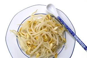 Bean Sprouts Nutrition Prints: Bean sprouts