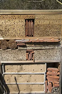Bee Hotel Prints: Bee hotel