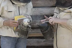 Agricultural Pest Control Prints: Beekeeper at work at the beehive
