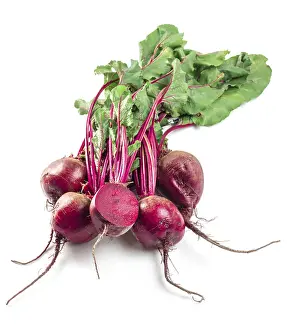 Fresh Beets Prints: Beet, beetroot bunch on white background