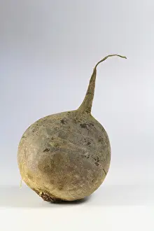 Beet Root Nutrition Facts Prints: Beetroot