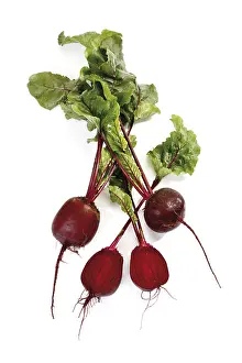 Vegetarian Food Options Prints: Beetroot