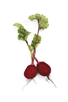 Beetroot Nutrition Prints: Beetroot