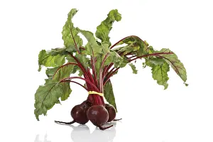Vitamin Rich Vegetables Prints: Beetroot