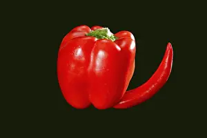Weight Loss Diet Prints: Bell pepper