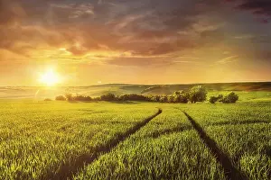 Lens Flare Photography Prints: Beuatiful sunset in fields of Moravia