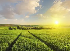 Czech Republic Landscape Photography Prints: Beuatiful sunset in fields of Moravia