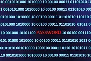 Data Protection Austria Prints: Binary code with the word Password