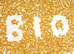 Organic Farming Prints: BIO writing with maize kernels