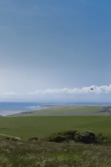 British Landscape Scenery Prints: Bird flying above rolling green fields