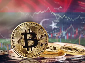 Online Payment Transaction System Prints: Bitcoin with Libyan flag in the background