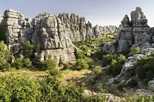 El Torcal Nature Reserve Spain Prints: Bizarre limestone rock formations