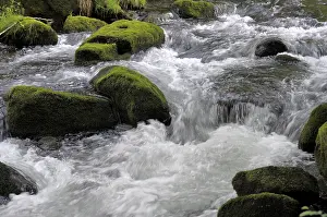 Deserted River Landscape Prints: Black Forest Stream, Eyach