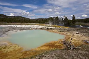 Yellowstone National Park Prints: Black Opal Spring, Biscuit Basin