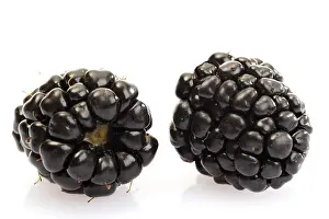 Raw Food Nutrition Prints: Two blackberries