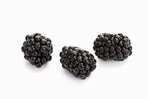 Vitamin Rich Berries Prints: Three blackberries