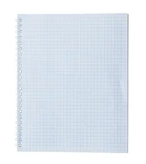 Stationery Supplies Prints: Blank chequered notepad against a white background