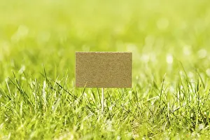 Copy Space Hints Prints: Blank mini paper pointer in a green grass