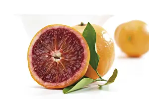 Close Up Citrus Fruit Prints: Blood Oranges