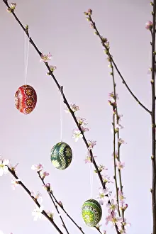 Easter Egg Vase Prints: Blooming branches of a peach tree in a vase decorated with Easter eggs
