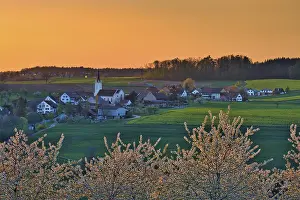 Village View Switzerland Prints: Blossoming cherry trees in the evening