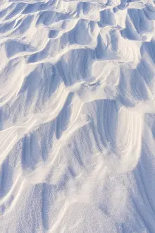 Riisitunturi National Park Prints: Blown snow formations (Sastrugi)
