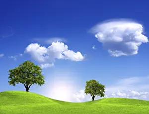 Ecological Oak Trees Prints: Blue Planet