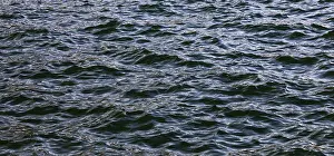 Abstract Background Image Prints: Blue water surface with small waves