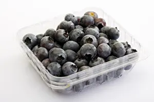 Raw Food Photography Prints: Blueberries in a plastic storage container