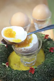 Decorative Still Life Photography Prints: Boiled egg in an egg cup