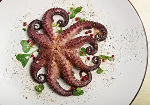 Rustic Italian Cuisine Prints: Boiled octopus, close-up, rustic style